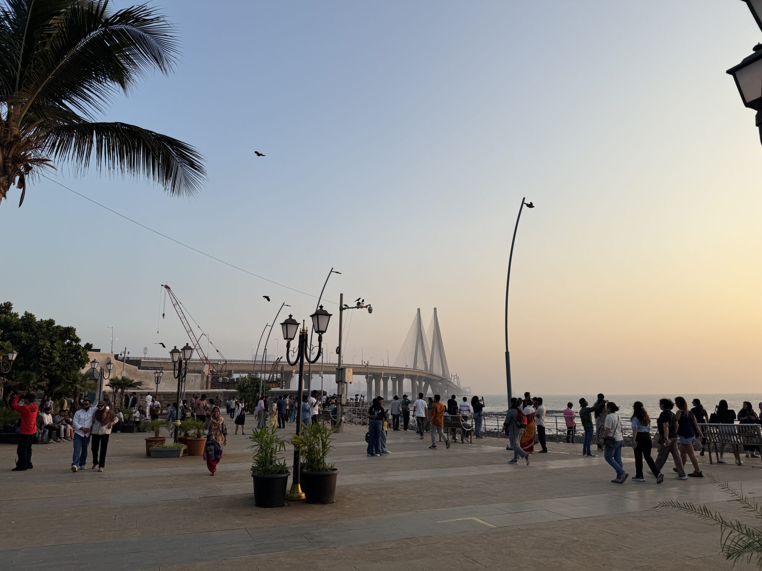 Bandra and Dharavi