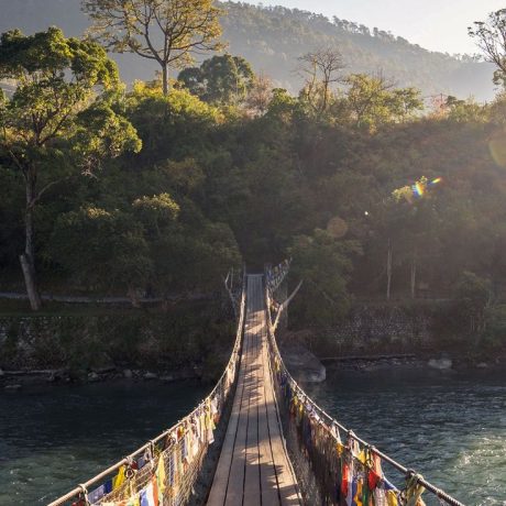 Discover Pemako Punakha_ Bhutan’s Hidden Luxury Wellness Retreat