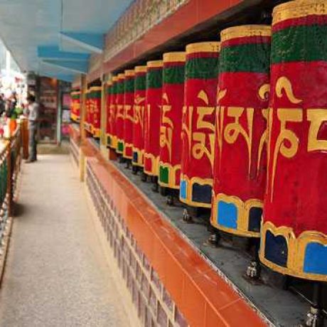 dalai-lama-temple_20180418204704